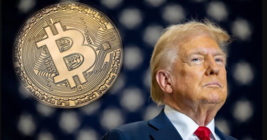 Trump Bitcoin Crypto Market Future