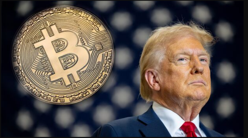 Trump Bitcoin Crypto Market Future