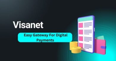 Visanet Digital Payments Solutions